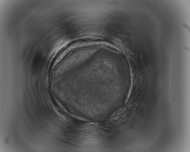 X0000091010050200708301407