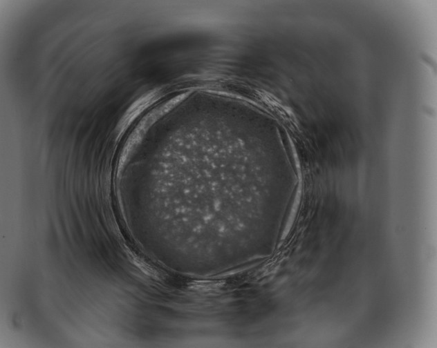 X0000091010051200708301407