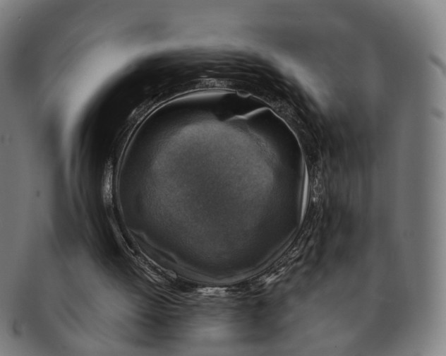 X0000091010052200708301407