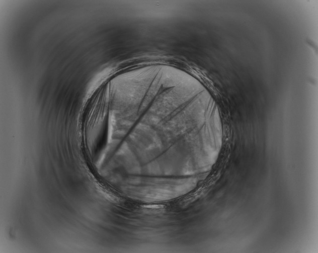X0000091010053200708301407
