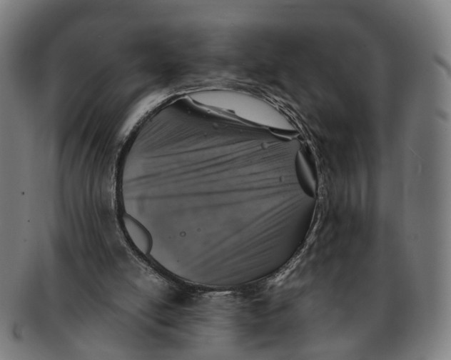 X0000091010054200708301407