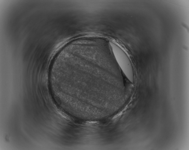 X0000091010055200708301407