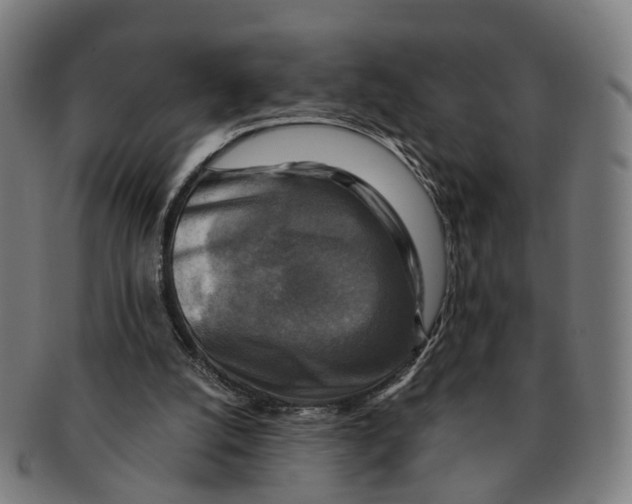 X0000091010056200708301407
