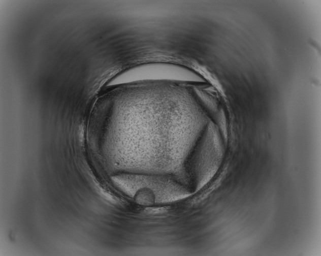 X0000091010057200708301407