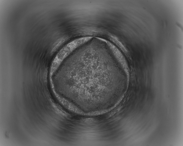 X0000091010058200708301407