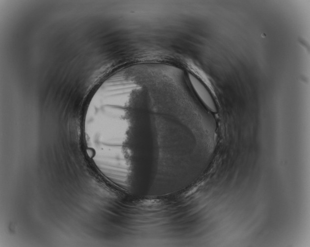 X0000091010059200708301407