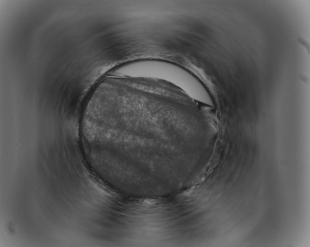 X0000091010060200708301407