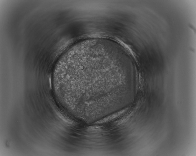 X0000091010061200708301407