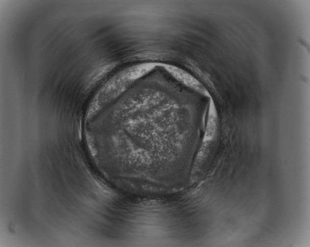 X0000091010062200708301407