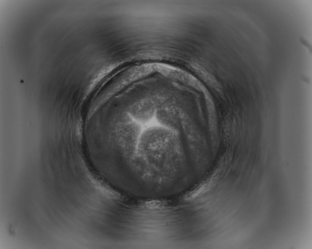 X0000091010064200708301407