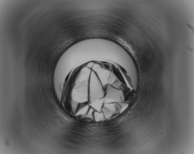 X0000091010065200708301407