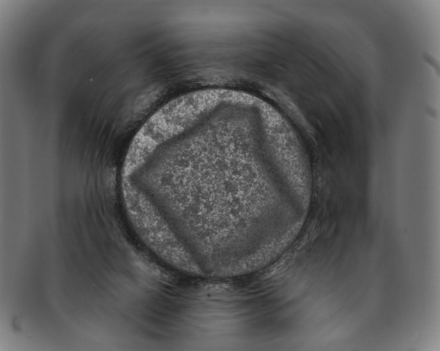 X0000091010066200708301407