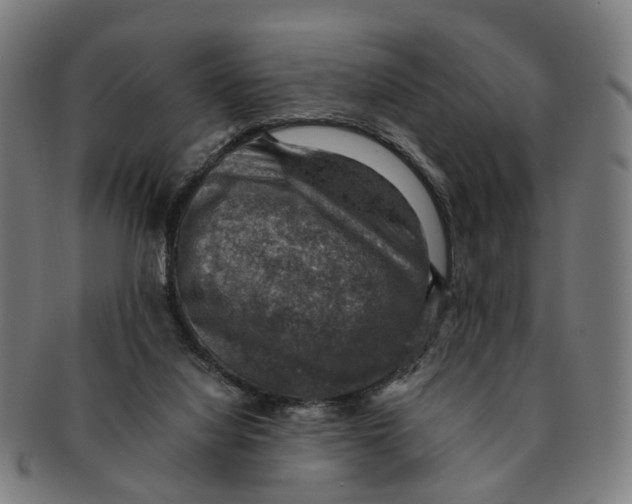 X0000091010068200708301407