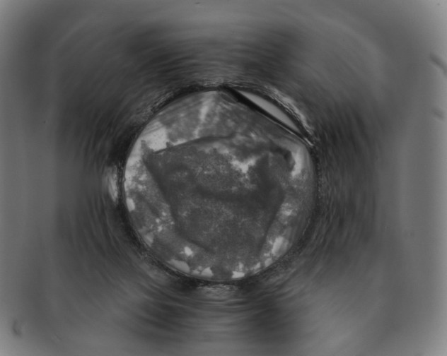 X0000091010069200708301407