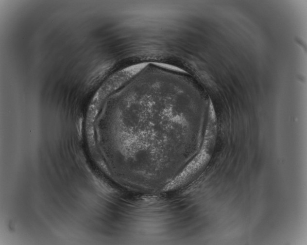 X0000091010070200708301407