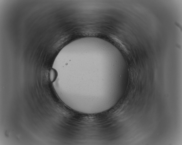 X0000091010071200708301407