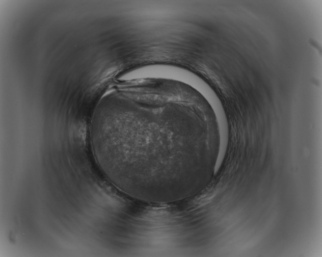 X0000091010072200708301407