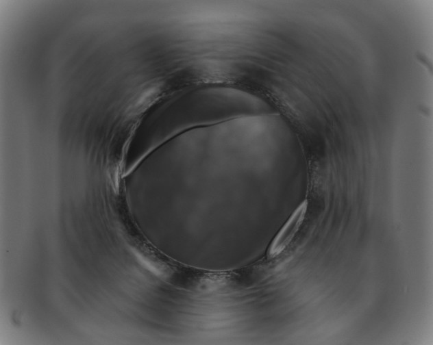 X0000091010076200708301407