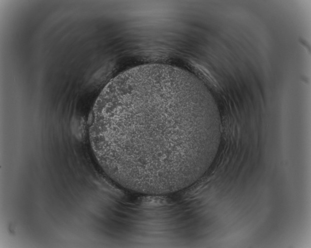 X0000091010077200708301407