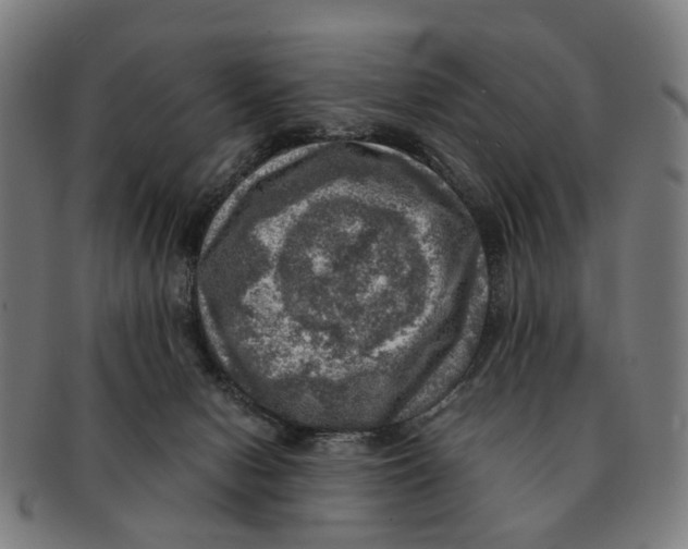 X0000091010078200708301407