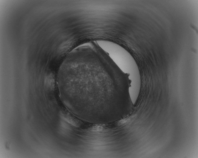 X0000091010080200708301407