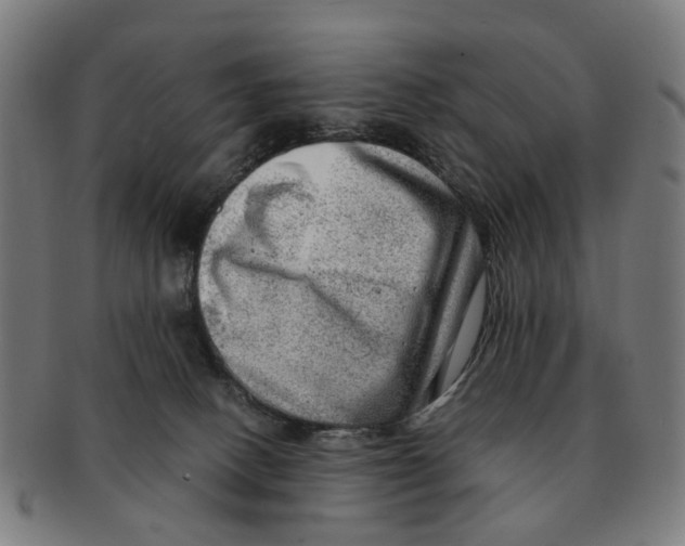 X0000091010082200708301407