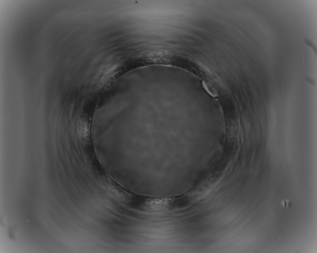 X0000091010084200708301408