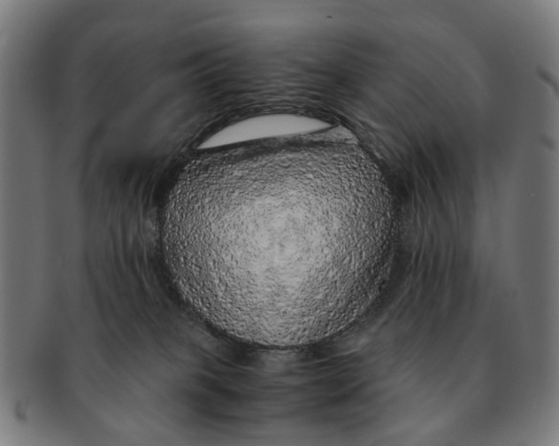 X0000091010085200708301408