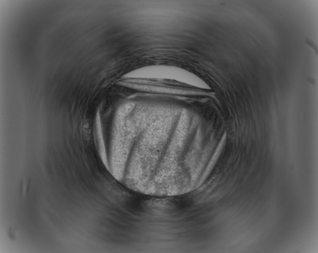 X0000091010086200708301408