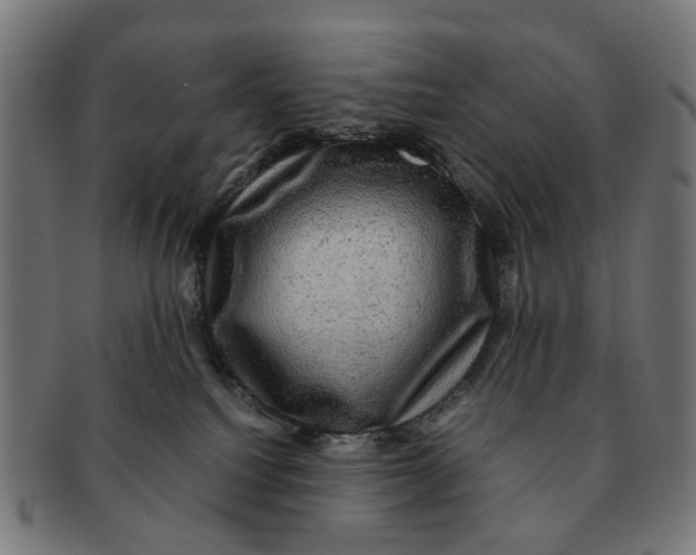 X0000091010088200708301408