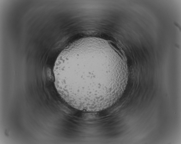 X0000091010089200708301408
