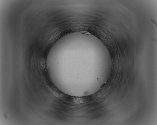 X0000091010091200708301408