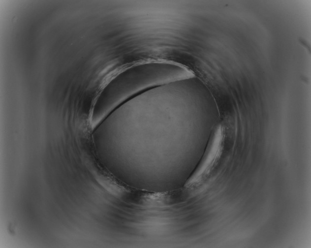 X0000091010092200708301408