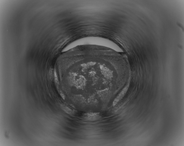 X0000091010093200708301408