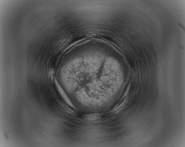 X0000091010094200708301408