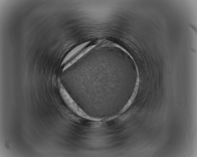 X0000091010096200708301408