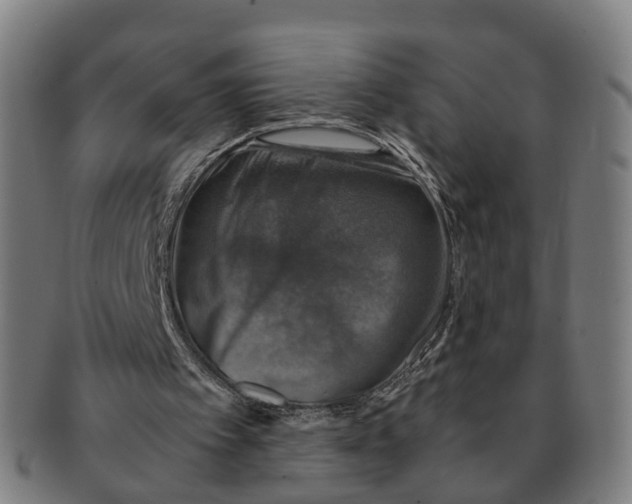 X0000091010097200708301407