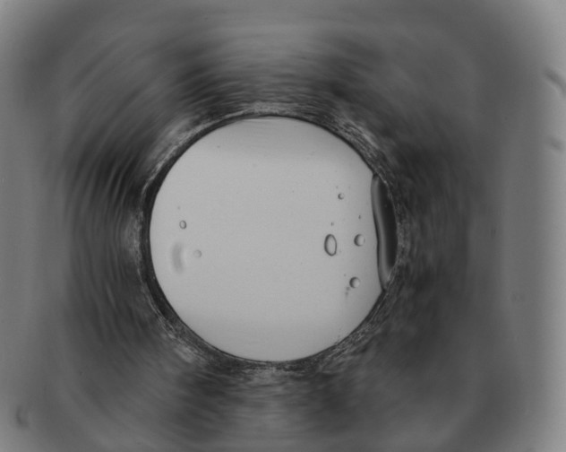 X0000091010098200708301407