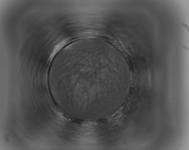 X0000091010099200708301407