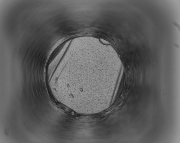 X0000091010100200708301407