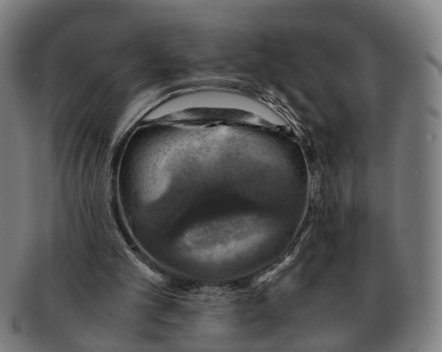 X0000091010101200708301407