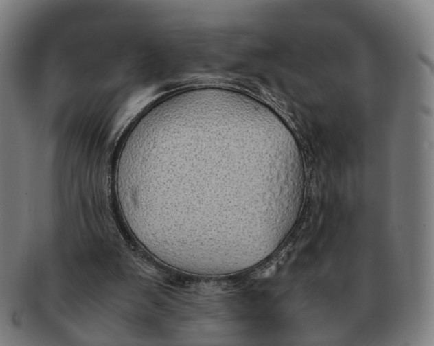 X0000091010103200708301407