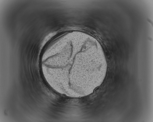 X0000091010104200708301407
