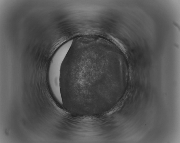 X0000091010105200708301407