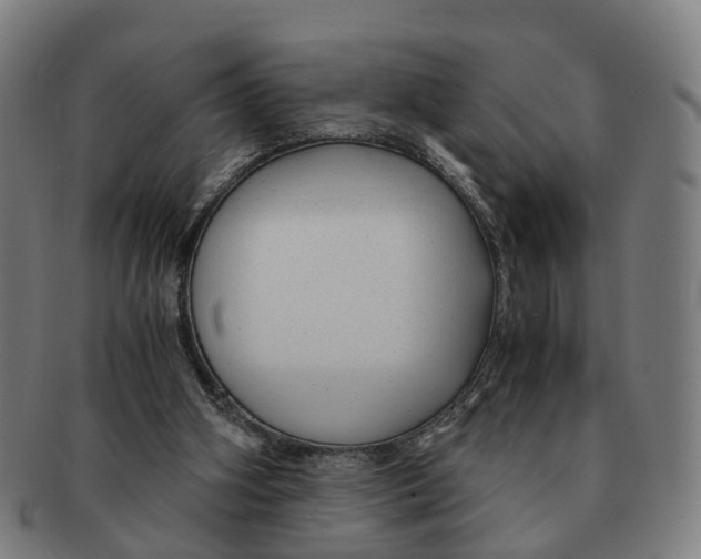 X0000091010106200708301407
