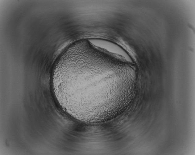 X0000091010107200708301407