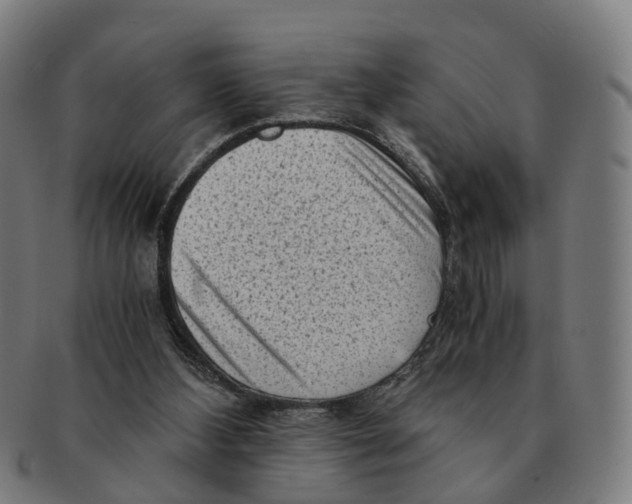 X0000091010108200708301407