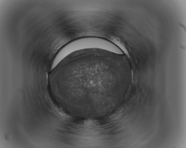 X0000091010109200708301407