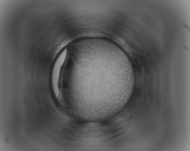 X0000091010111200708301407