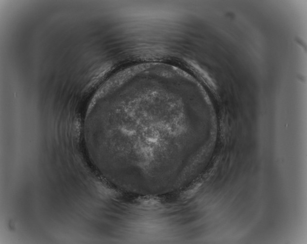 X0000091010113200708301407